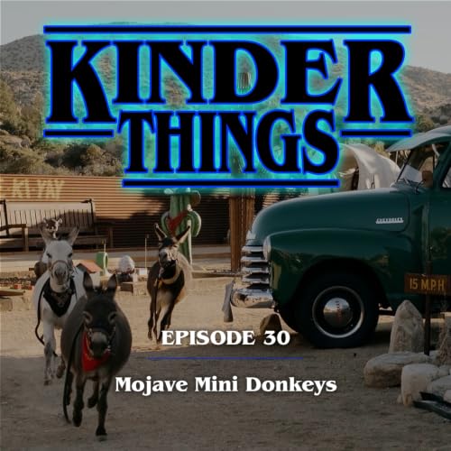Mojave Mini Donkeys