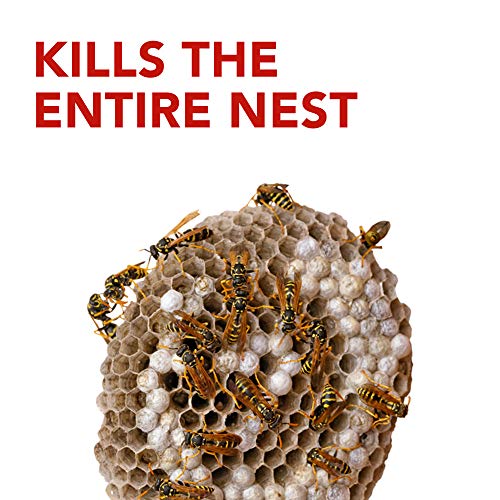 Raid Wasp & Hornet Killer Spray (14 Ounce (Pack Of 3) #TOP3