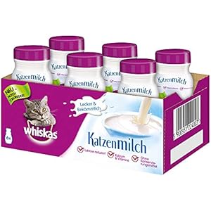 Whiskas Katzenmilch für Katzen ab 6 Wochen – Leckerer Snack für eine glückliche Katze – Laktosefrei und leicht verdaulich – Vorratspack mit 6 Flaschen à 200ml