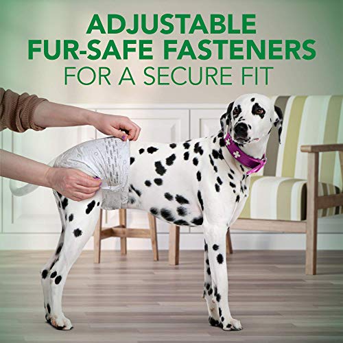 Vet's Best Comfort Fit Hundewindeln – Einweg-Windeln für Hündinnen – saugfähig mit auslaufsicherer Passform – Größe L/XL (59,9–80,9 cm Taille) – 30 Stück