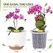 Sxueg Self Watering Orchid Pots for Indoor Plants,5.8 Inch Macetas para Orqudeas,Flower Pots for Indoor Plants with Holes(White)