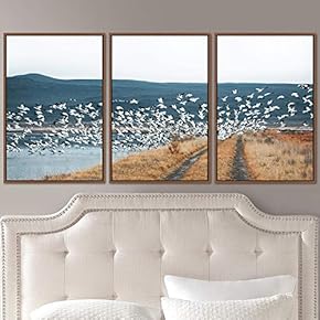 signwin 3 Piece Framed Canvas Wall Art Birds...