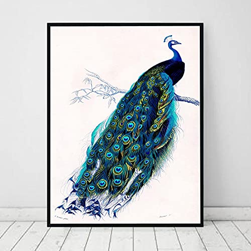 Affiche vintage oiseau paons pour sublimer le design de votre salon