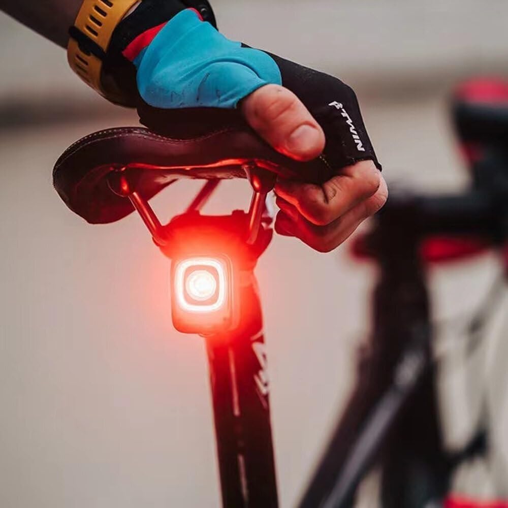 Bike Taillight 360° Visibility IPX6 Waterproof 2000m Distance Bicycle Rear Light for Night Cycling