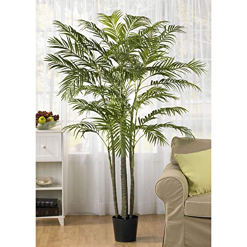 image for Nearly Natural 5275 Areca Palm Silk Tree, 6-Feet, Green,72