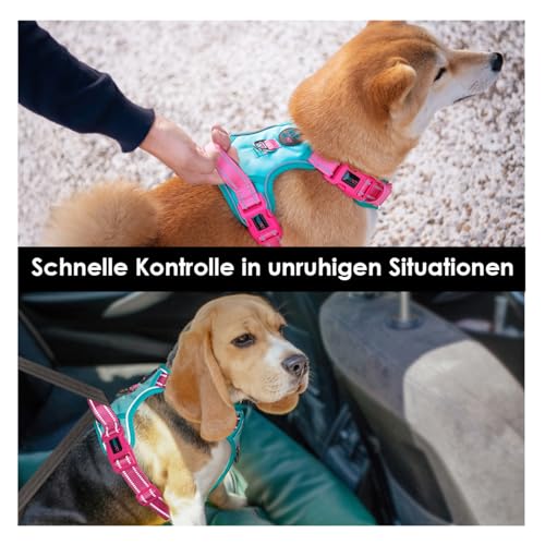 PHOEPET Anti-Zug Hundegeschirr verstellbar mit Reflektoren | Trainingsgriff & Metallclips für alle Hundegrößen(M,Minzgrüne Basis & Pinke Träger)