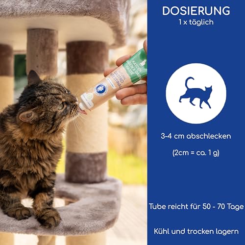 Natürliche Magen-Darm Paste für Katzen - Katzensnack mit Probiotika und Ulmenrinde - Unterstützt Verdauung und Darmflora, Gastro Intestinal Paste