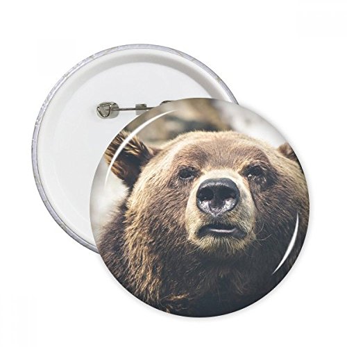 Ours animaux badge bouton vêtement multicolore pour customiser