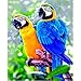Produktbild 5D Diamant Malerei Kit Voll DIY Malen nach Zahlen Diamond Painting Tierpapagei Vogel Bilder Diamant Gemälde Stickerei Kristalle Strass Kreuzstich für Wohnkultur Wand M9621 Rundbohrer 60x80cm