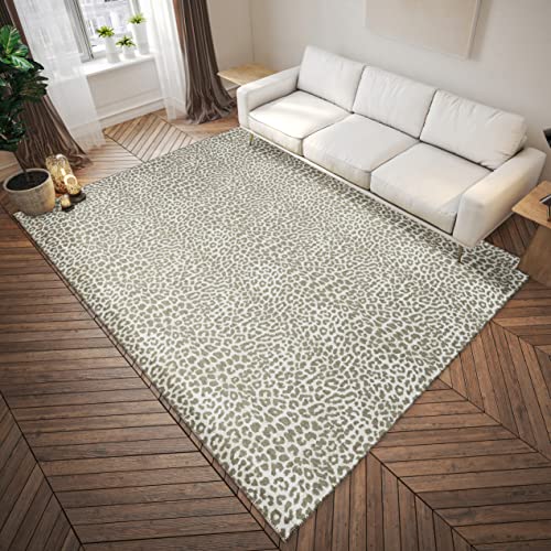 Addison Rugs Safari ASF32 Tapete 3' x 5' Interior Exterior
