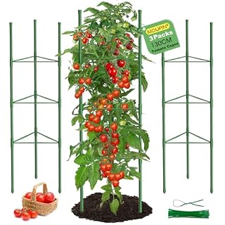 MQUPIN cage à tomates 130 cm, acier gainé vert