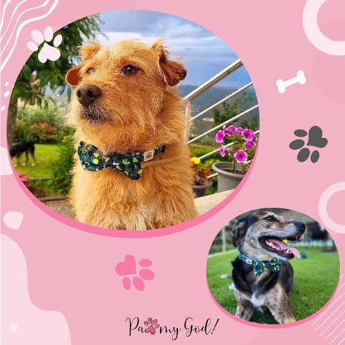 Collier souple pour chien grand grand format motif léopard