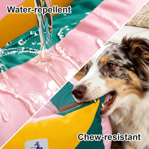 Image of Cotton Canvas Dog Bed (290gsm Thick), 24 inchx20 inchx8 inch Durable Waterproof