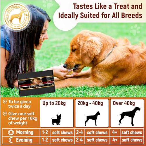 GastroBalance linderung verstopfung beim Hund – 60 weichen kausnacks abführmittel für Hunde 100% natürliche Wirkstoffe - Hühnergeschmack (English)