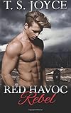 Red Havoc Rebel (Red Havoc Panthers) (Volume 2)