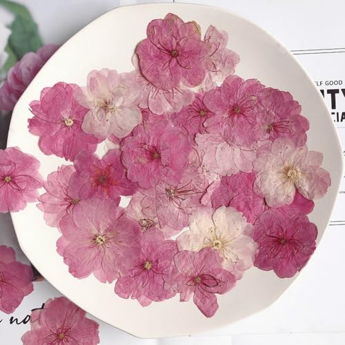 12 flores prensadas secas para manualidades miniatura 1