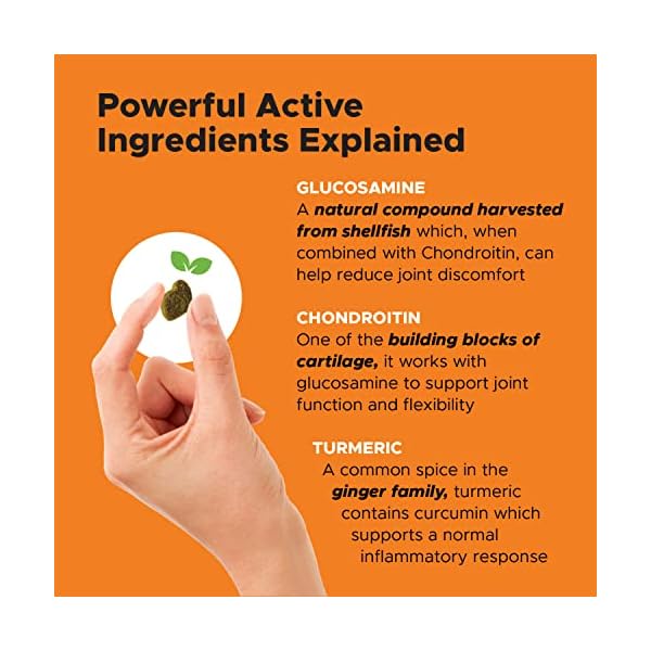 PetHonesty Hip & Joint Health, Dog Supplement with Glucosamine Chondroitin, MSM, Turmeric, Soft Chews Advanced Pet Joint Support and Mobility – (90 ct) (Hip & Joint Chicken) PetHonesty Hip & Joint Health, Dog Supplement with Glucosamine Chondroitin, MSM, Turmeric, Soft Chews Advanced Pet Joint Support and Mobility – (90 ct) (Hip & Joint Chicken)