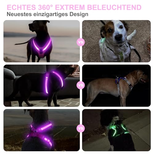 PZRLit Hundegeschirr Leuchtend, Leuchtgeschirr für Hunde Aufladbar, Leuchtendes Hundegeschirr LED, Leucht Geschirr für Hunde Reflektierend mit Licht Sicherheit im Dunkeln-Rosa, Extra Groß