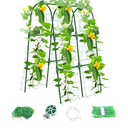 MQHUAYU Cucumber Trellis for Raised Bed,U-Shape Garden Trellis for Climbing Plants Outdoor, Metal Arch Vegetables Trellis, Plant Support for Vine (Green, 31.5' Lx21.6 Wx47.2 H-Small)