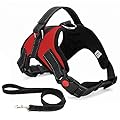Musonic No Pull Dog Harness Breathable Adjustable Comfort Free Leash Included for Small Medium Large Dog Best for Training Walking M RedNew