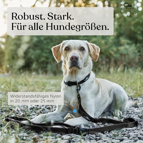 FREUDENTIER Umhängeleine Hund - Hundeleine 3m zum Umhängen, stufenlos verstellbar - Leine für kleine, mittelgroße & große Hunde (Schwarz, 3m)