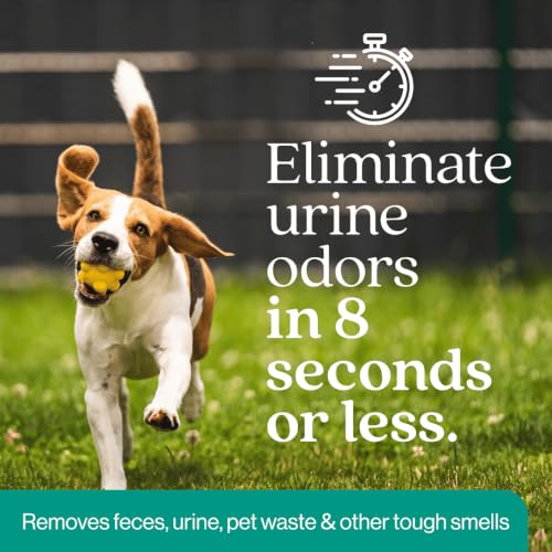 Image of Eco Strong Outdoor Odor Eliminator | Outside Dog Urine Enzyme Cleaner - Powerful Pet, Cat, Animal Scent Deodorizer | Professional Strength for Yard, Turf, Kennels, Patios, Decks (Gallon with Sprayer)