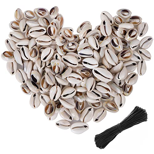 150 PCS 0.63"-0.71" Natural Strong Cowrie Shell Beads Smooth Cut Oval Seashells, Beach Seashells with Big Hole for DIY Craft Jewelry Making, Adorning Hair Locks and Braids
