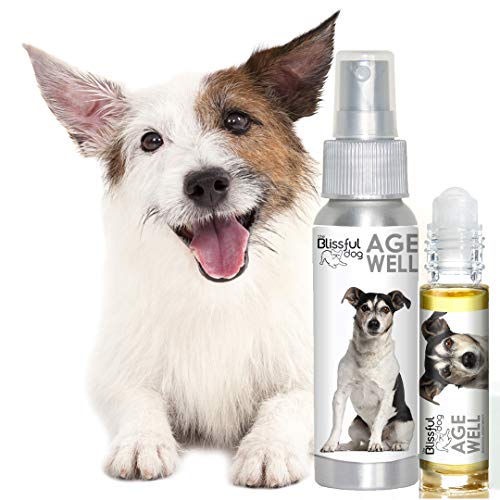 Image of The Blissful Dog Jack Russell Terrier Age Well Dog Aromatherapy Roll-On Bottle Support for Your Dog's Peaceful Ageing