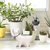 Ceramiczna doniczka kot, mini sukulenty, kaktusy, doniczki z podstawką