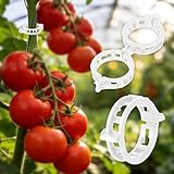 SZUAH 300Pcs Thickened Tomato Clips, Plastic Trellis Clips for Grape Vine, Tomato Vine, Vegetable Plants, Plant Support Clips to Help Plants Grow Upright & Healthier