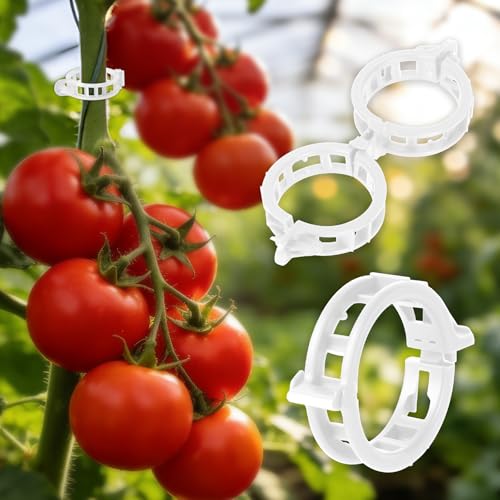 300Pcs Thickened Tomato Clips Plastic Trellis Clips for Grape Vine Tomato Vine Vegetable Plants Plant Support Clips to Help Plants Grow Upright & Healthier