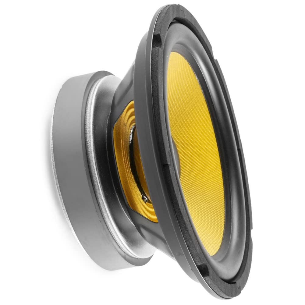 Fenton WPP20 Haut-parleur de graves - Cône 8 pouces (20 cm), 200 Watts