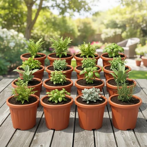 Image of 8 Inch Nursery Pots, 15 Packs Variety Plastic Pots with Drainage Hole, Plant Containers for Seedlings, Succulents, Transplanting (Red - Round)