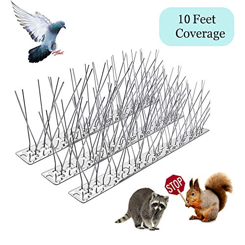 Tilian Spikes for Pigeons Small,Stainless Steel Spikes- More no Nests & Poop