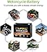 YTX24HL-BS 12V 21Ah Powersports Battery AGM Rechargeable Replacement Battery for Arctic Cat, BRP, Yamaha, Snowmobiles, Motorcycles, ATVs, UTVs (XTX24HL-BS)