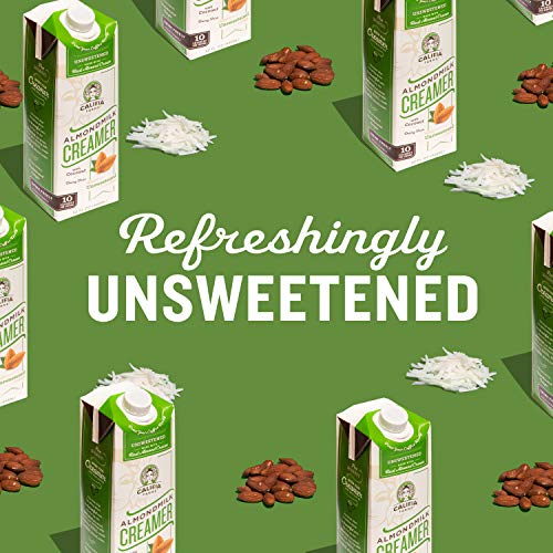 The 30 Best Coconut PlantBased Coffee Creamers of 2024 [Verified