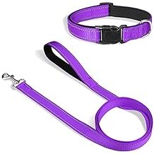 Joytale 14-20 inches Dog Collar and 6FT Leash, Reflective Soft Neoprene Padded Pet Collars and Leashes for Medium Dog