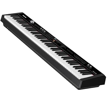 NUX NPK-20 Portable Digital Piano (Black)