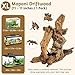 kathson Large Natural Aquarium Driftwood Reptiles Branches Terrarium Ornament Sinkable Wood Decor Trunk Fish Tank Log Habitat Decoration (11