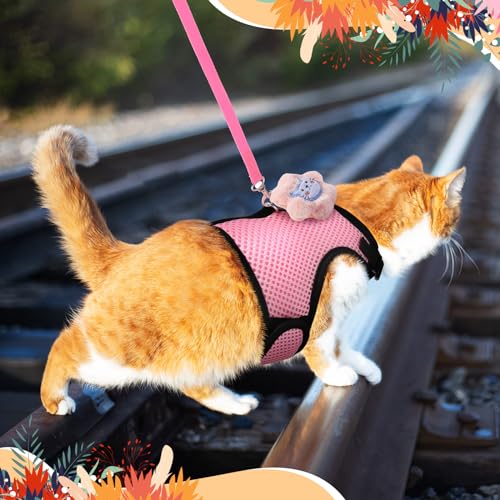 Image of Easter Bunny Costume Rabbit Harness and Leash Set with 2 Cute Decorations Bunny Clothes Adjustable Buckle Breathable Mesh Vest Harness for Rabbits Ferret Small Pig Puppy(Pink,Cute Pattern)