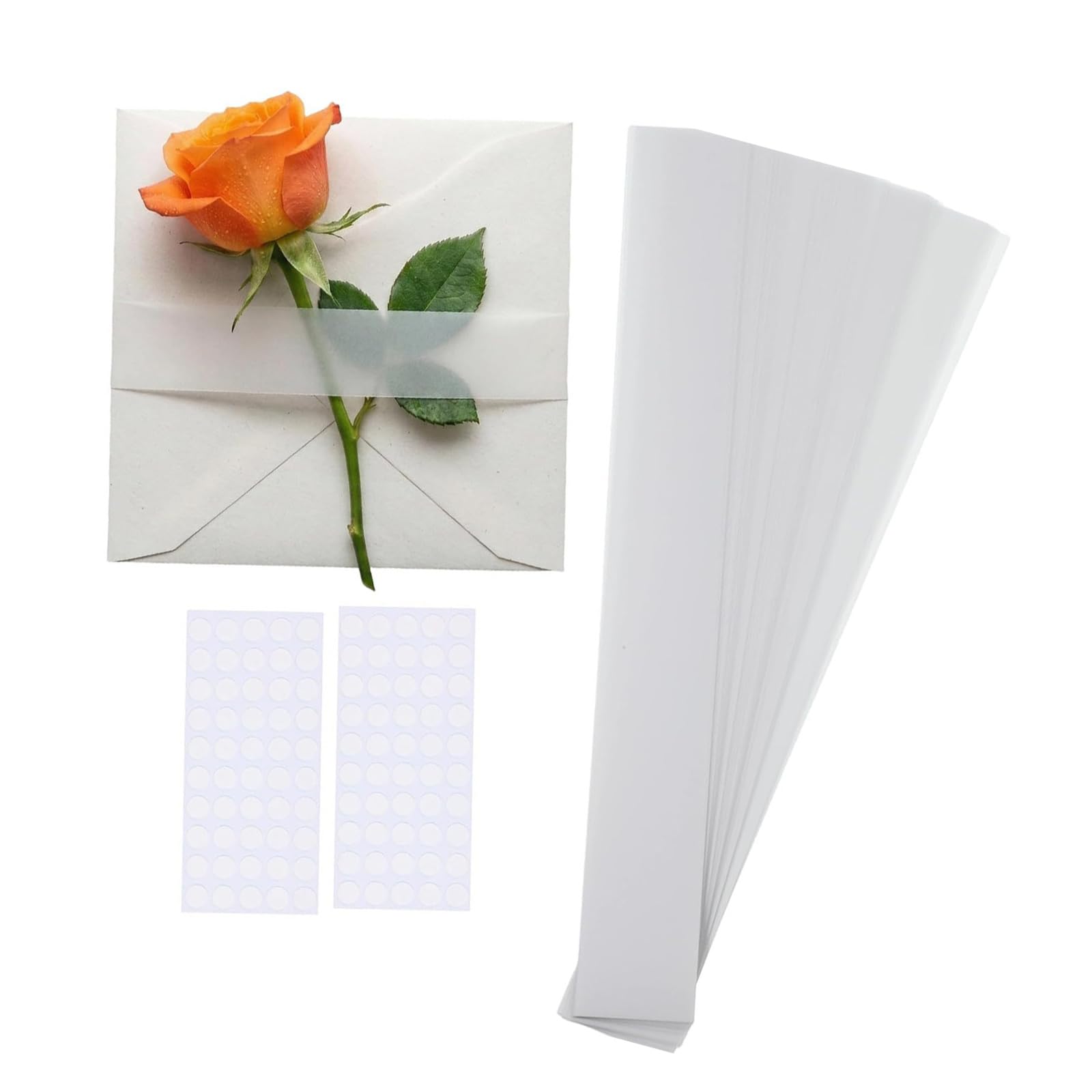 Tsophreniq 100PCS Transparency Invitation Belts Perfect for Greeting Cards Paper Belly Bands Perfect for Wedding Stationery Invitation Belly Bands