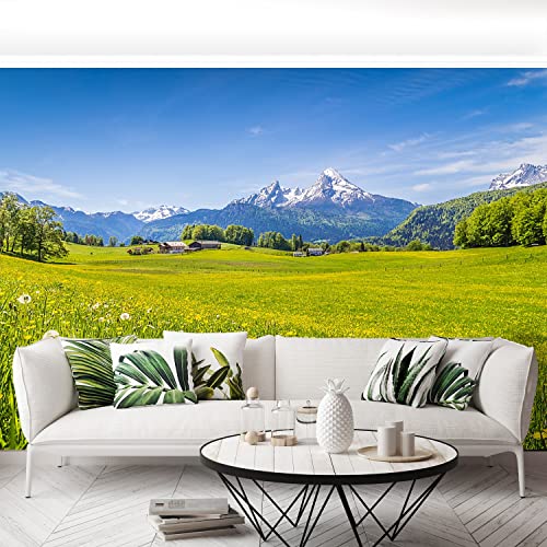 Papier peint protection 250x104cm Tulup pour masquer un mur abîmé