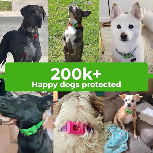 Image of FurLife Green Pet Tag - Calming & Flea and Tick Prevention Pendant for Dogs & Cats | Waterproof Collar Tag | Safe for All Breeds