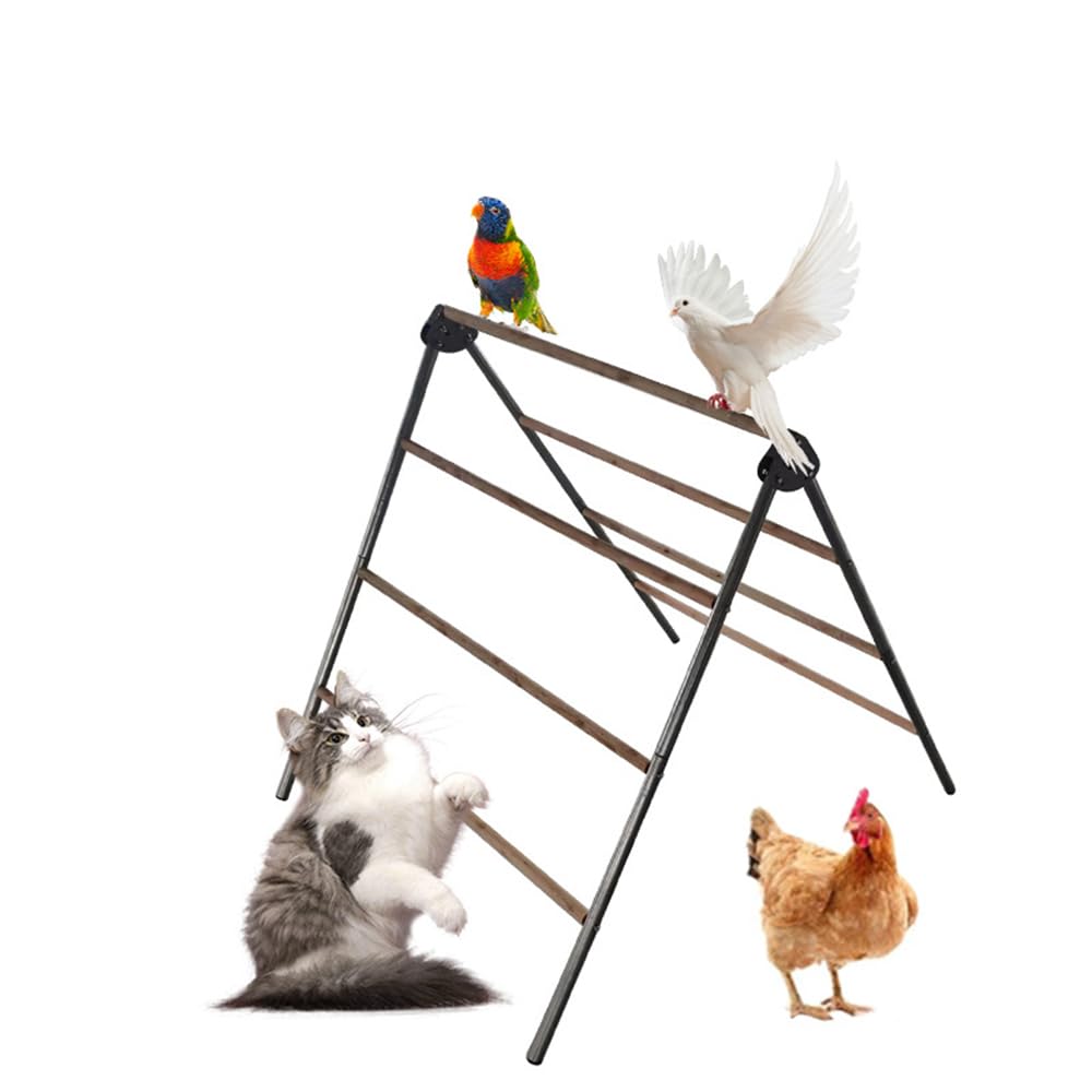Échelle en bois pour poules : perchoir stable contre le sol humide du poulailler