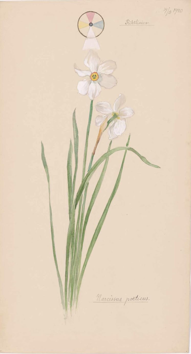 Hilma af Klint: Flora
