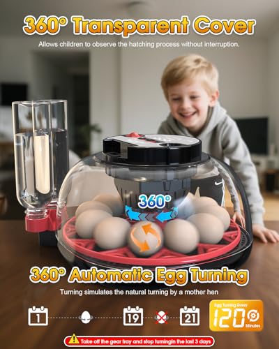 Incubators for Hatching Eggs,12 Egg Incubator with Automatic Egg Turning and Humidity Control,Egg Candler,Air Vent,360° Viewing for Chicken,Quail Eggs,Ideal for Farm,Classroom,Home Use - Image 5
