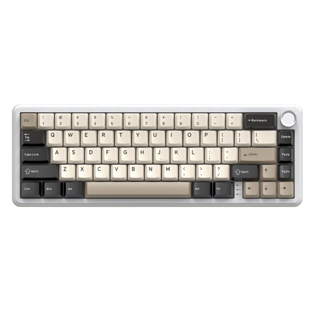 Tastiera meccanica wireless da gioco X66 con guarnizione con manopola del volume RGB retroilluminata laterale stampata keycap in PBT (bianco formaggio)