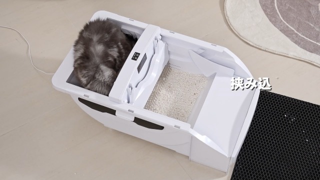 Amazon | Pandaloli トイレ 猫 トイレ 自動 大型: 全自動 ネコトイレ
