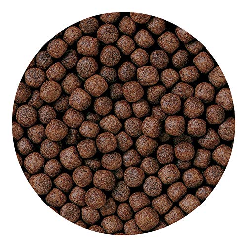Hikari 15328 8.8-Ounce Cichlid Bio-Gold And Floating Pellets thumb #4