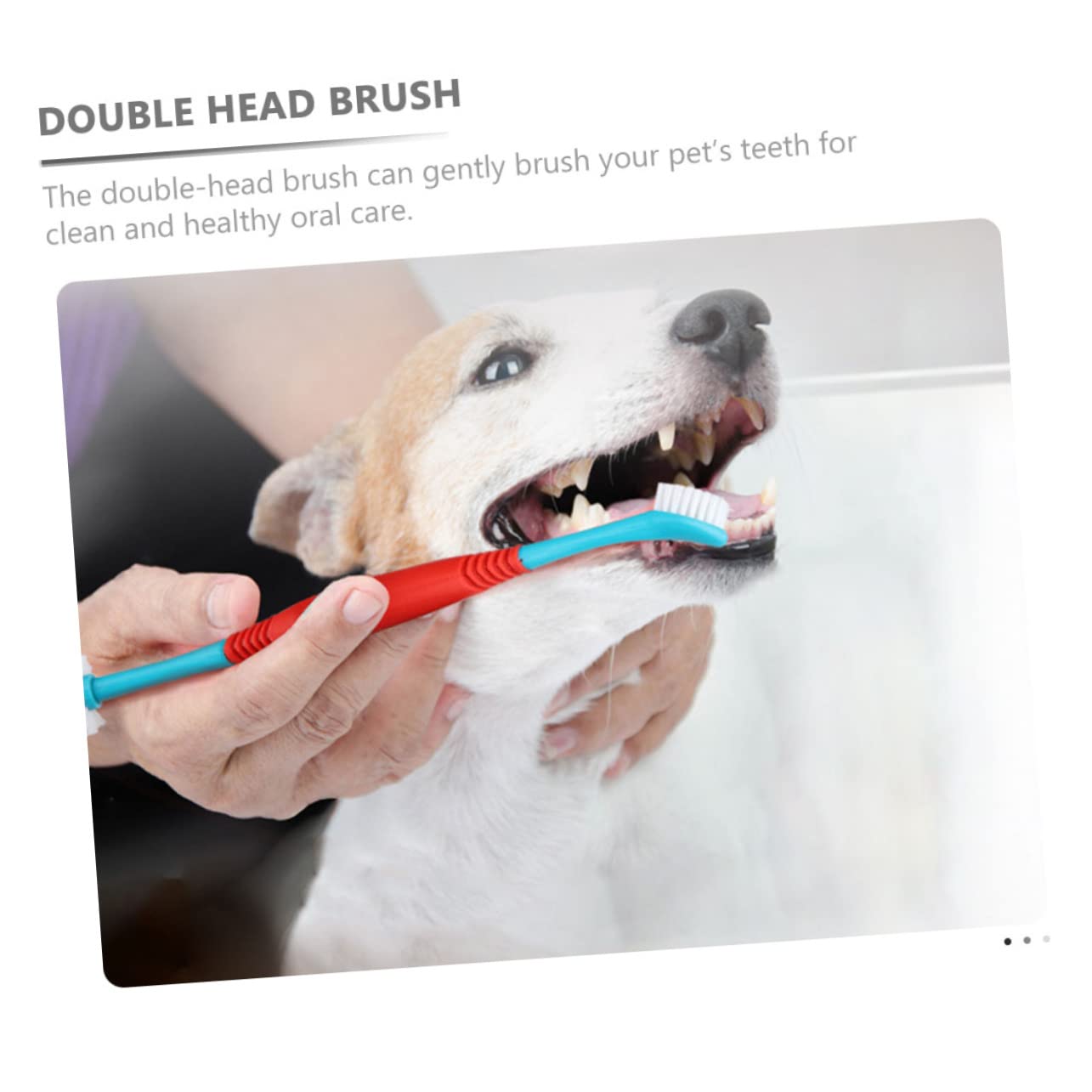 Mipcase 12pièces Brosses à Dents Pour Animaux De Compagnie De Brossage Pratique Nettoyage Buccal Pour Chiens Et Chats Design à Double Extrémité Tête Petite Pour Accès Facile